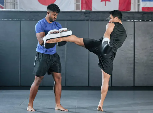 Versatile Boxing Mitts - Perfect for Taekwondo, Karate, Kickboxing, and More!